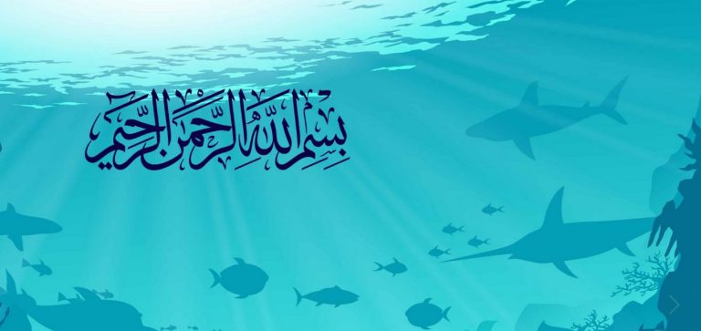 Learning Quran Translation for Kids